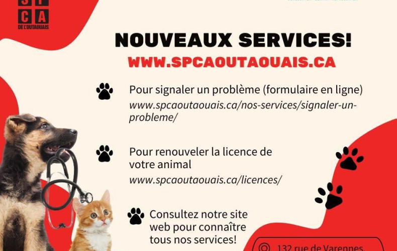 Nouveaux services de la SPCA sur notre territoire!