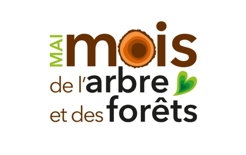 Distribution of Trees to the Population