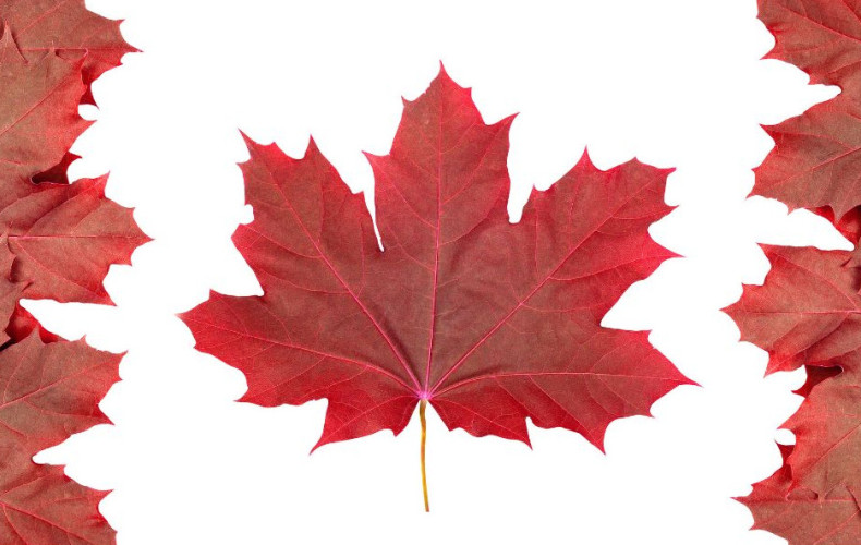 Fête du Canada 2025 à Low