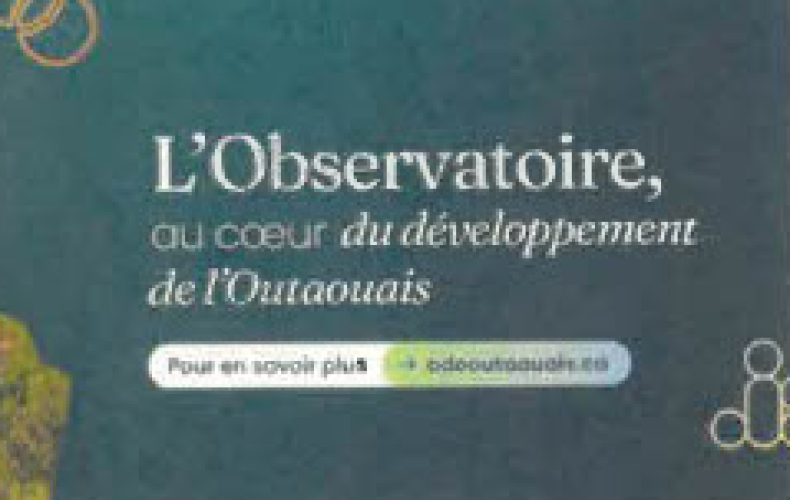 Citizen Consultation - Southern Sector by the Outaouais Development Observatory