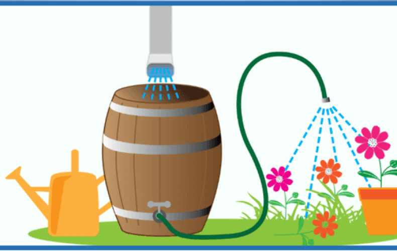 Économisez l'eau et faites pousser votre jardin!